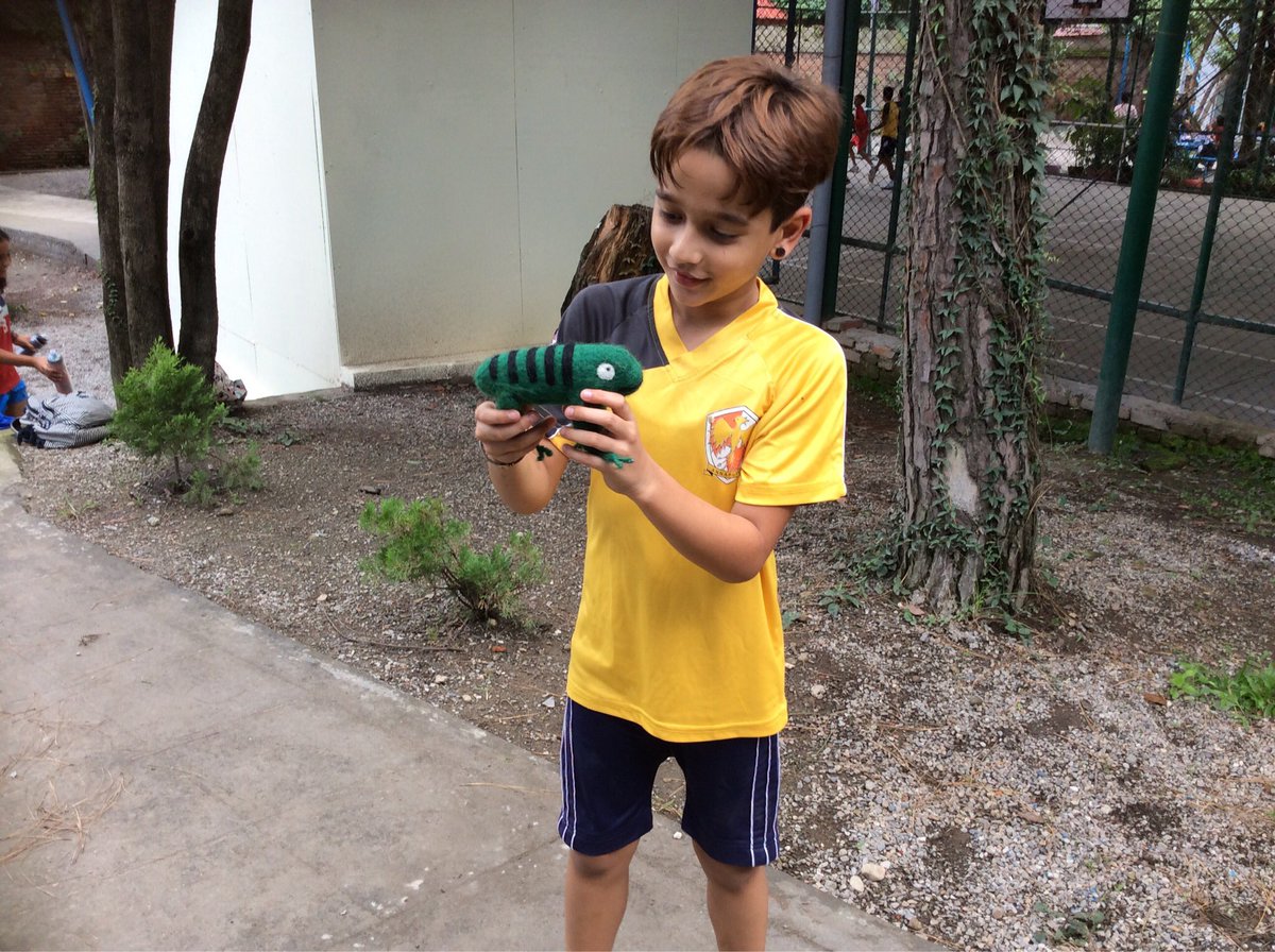 TBSYear4's tweet photo. Enjoying our learning animal hunt for our Brainwaves entry point. Super cooperative ants! https://t.co/1KRI95JfC7