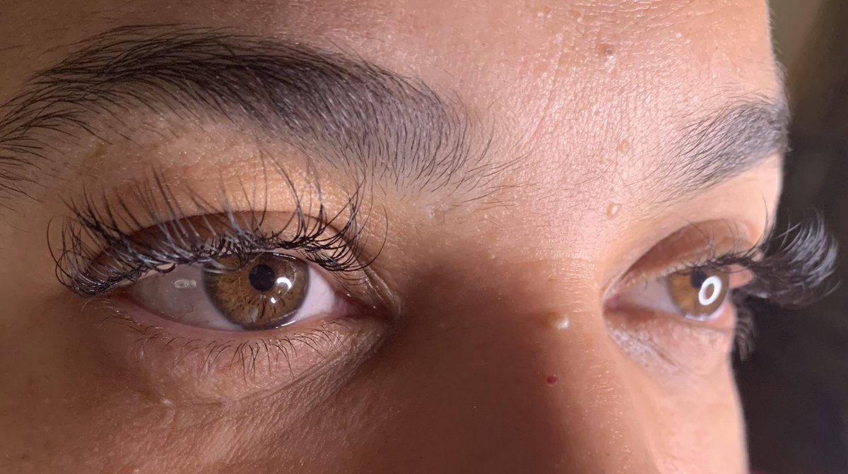 LinknMink's tweet photo. Full &amp; longer Set 💛🌻
 #linknmink #lashtech #lashtechnyc #lashtechnc #minklashes #prettybrowngirls #lashtechbk #lashtechbkny #eyelashes #minkeyelashes #minklashextensions #blacklashtech #brooklynlashtech #brooklyn #brooklyneyelashes #fullset #wispy #bklashtech #thinkminknyc https://t.co/EzKSXOZ7xW