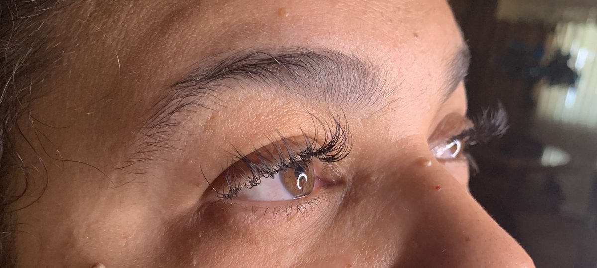 LinknMink's tweet photo. Full &amp; longer Set 💛🌻
 #linknmink #lashtech #lashtechnyc #lashtechnc #minklashes #prettybrowngirls #lashtechbk #lashtechbkny #eyelashes #minkeyelashes #minklashextensions #blacklashtech #brooklynlashtech #brooklyn #brooklyneyelashes #fullset #wispy #bklashtech #thinkminknyc https://t.co/EzKSXOZ7xW