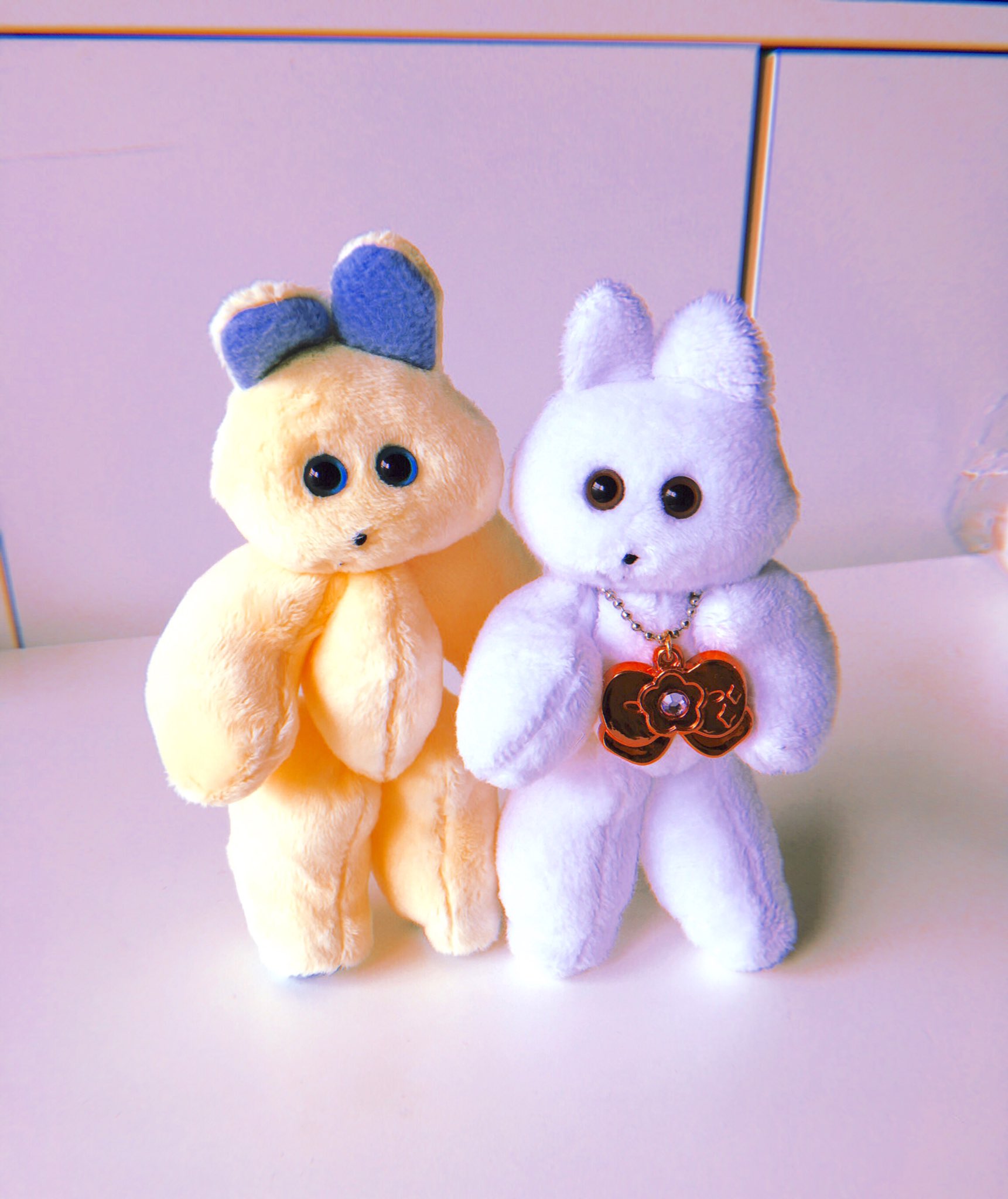 くまきち くまきちショップやさん ( tsume ) | Online shopping for