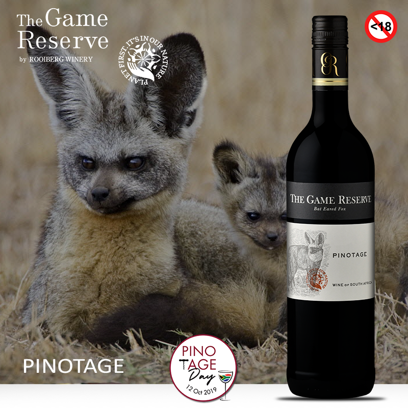 RooibergWines's tweet photo. Help us in supporting the conservation of the unique Bat Eared Fox when you purchase Pinotage from the Game Reserve Range, brought to you by Rooiberg Wines. #wineswithacause #rooibergwines #itsinournature @WildernessFdnSA 
https://t.co/BWPIzHVbar https://t.co/09sO39j9Bo