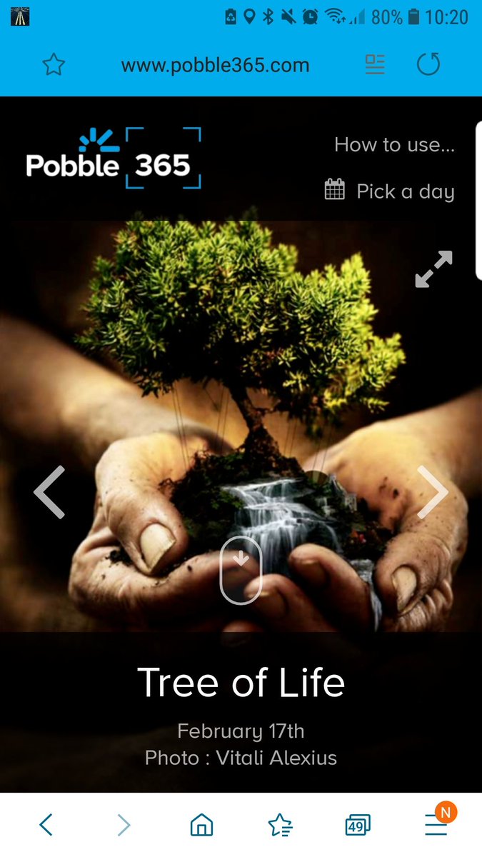 Victoria Millett (Carr) tweet media