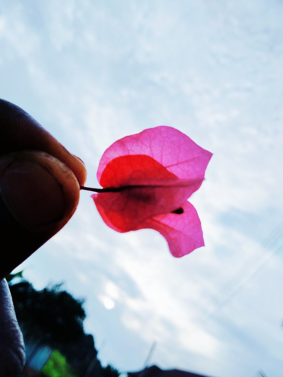 EpIc01548356's tweet photo. @TECNOMobileNG #UnlockCAMission https://t.co/08IgAmMJvW