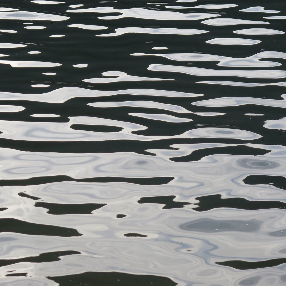 BRAZILLIAN FLOW
•
From our #PATTERNITRIP to #IhlaGrande, exploring the rhythms and rituals of the patterns that shape our world
•
#flow #ripple #water #liquid #dapple #everydaywisdom #PATTERNITY