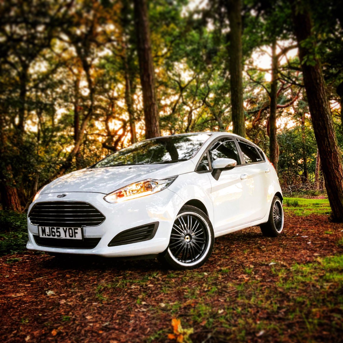 What’s Lerkin in the woods 👀🌲
#cars #car #carlifestyle #carstyle #cars4life #carsofinstagram #carsofinsta #follow #carsoftheday #ford #fordfiesta #fordfiestamk7 #mk7 #whitecars #photography #carphotoshoot #carphotography 
#carsociety #carlife #carenthusiast #likeforlike