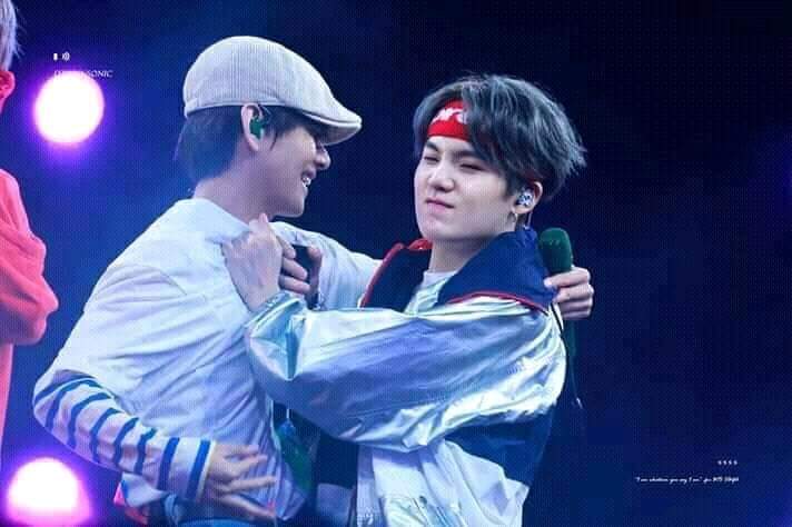 I searched for "cat" and-