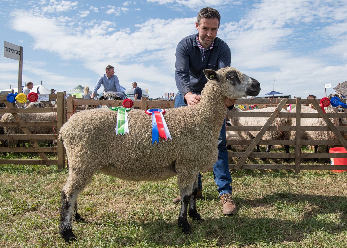 TeeswaterSBA's tweet photo. Congratulation to CT &amp; JE Willoughby who took Champion @WensleydaleShow on Saturday. Thankyou to D Pilkington for Judging and @Bru_Mog for the picture. https://t.co/txKL0IqjNz