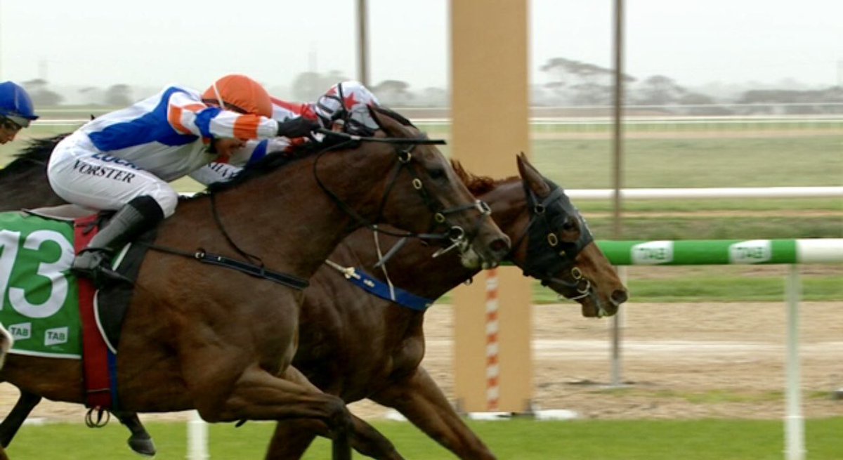 EquianoClub's tweet photo. #LAPETITEROUSSE 5M Equiano x Katella Bubbles (Johannesburg) wins over 1000m at Murray Bridge Sth Aus for Tr #SamBurford &Jk #TeaganVoorham #Swettanhambred @newsellspark https://t.co/lKqdpMV46a