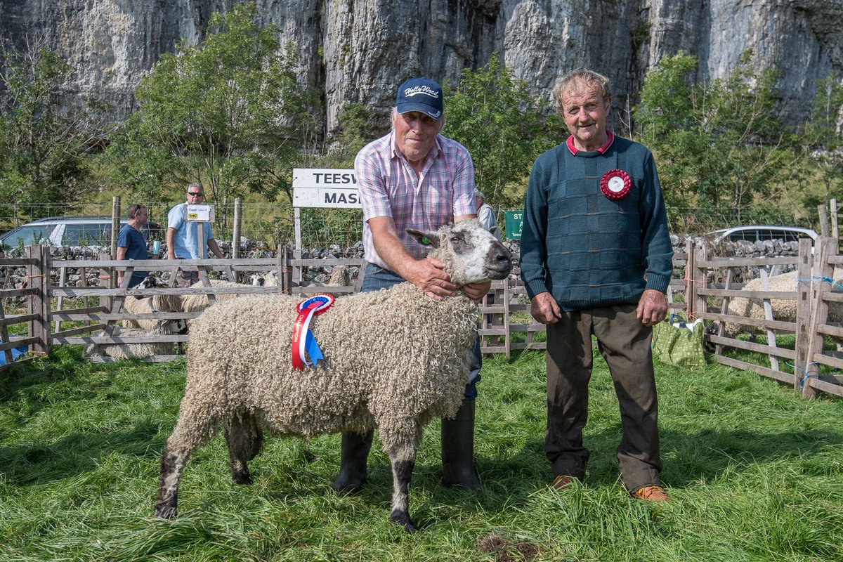 TeeswaterSBA's tweet photo. Thankyou to A Lambert for judging @KilnseyShow yesterday. Congratulations to D Newbould who took the championship and thankyou to @Bru_Mog for the excellent pictures! https://t.co/1GGTUFSFdZ