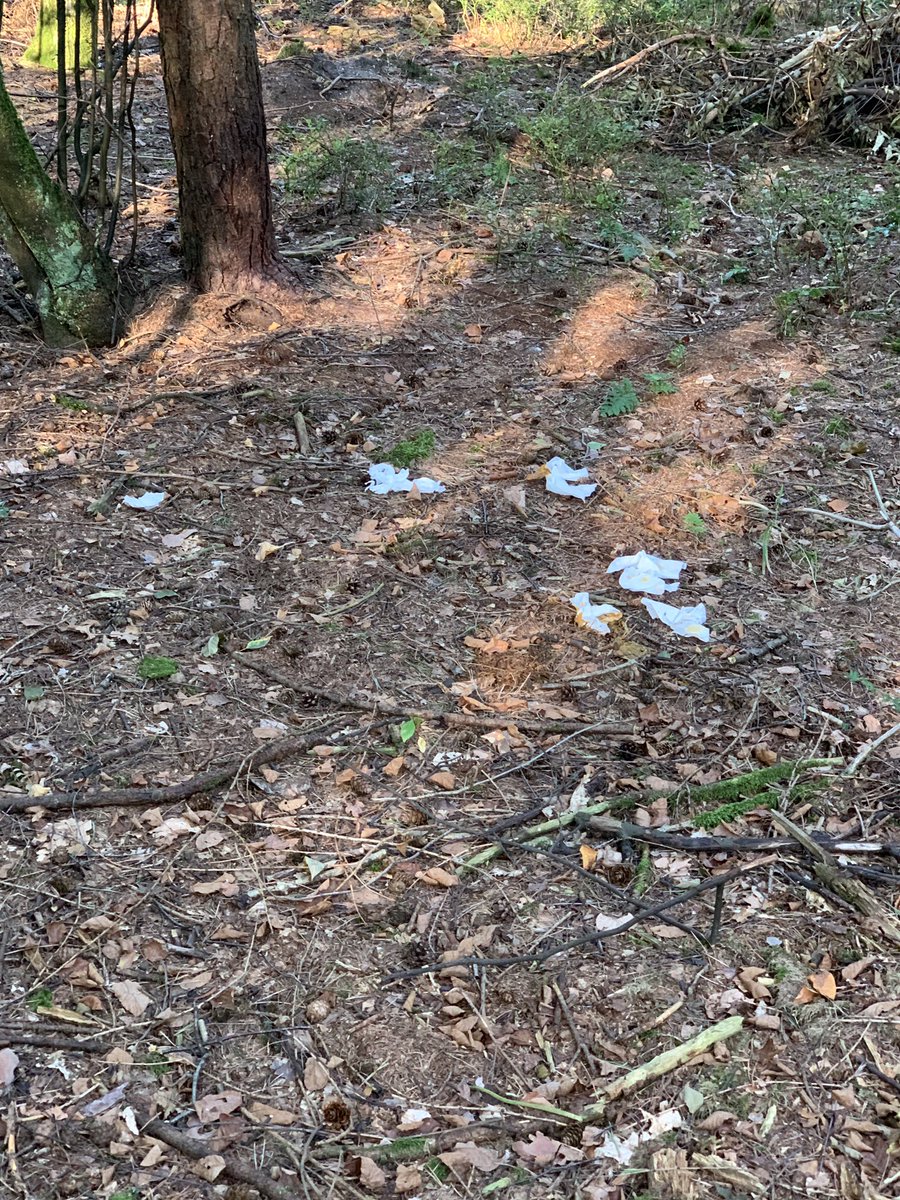 Wat een smeerlappen toch. Zijn ze een dagje te gast in de natuur van #Veluwe #Hoenderloo gaan ze hun behoefte doen en langs het pad en spoor van tissues achterlaten <a href="/staatsbosbeheer/">Staatsbosbeheer</a>