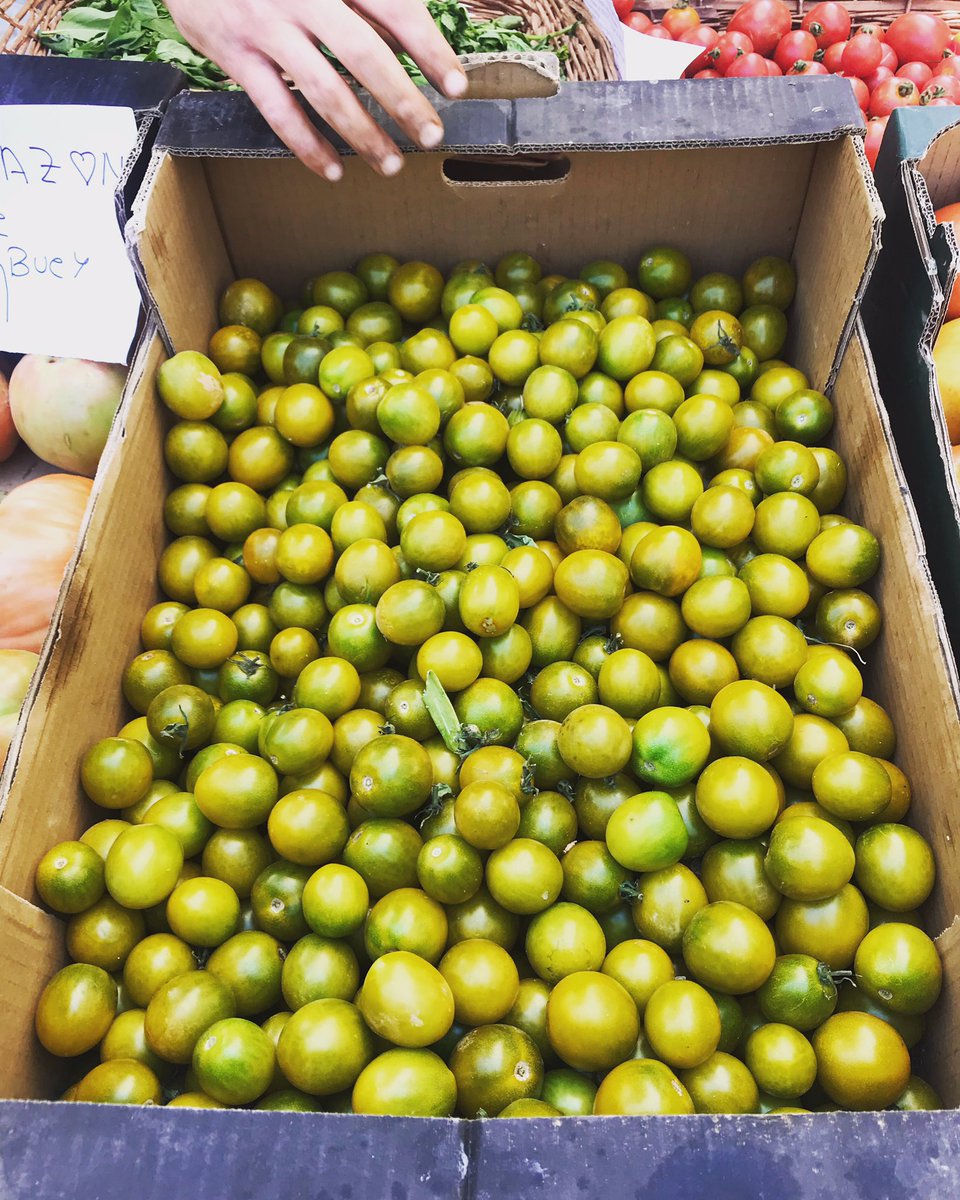Tomate bombilla y tomate racimo verde para la degustación esta tarde en Maza Etxea con vinos de <a href="/BorsaoBodegas/">Bodegas Borsao</a> y aceite <a href="/impelte/">Aceites Impelte</a> <a href="/aragonentumesa/">PonAragónentumesa</a> <a href="/HeraldoGastro/">Heraldo Gastronomía</a>