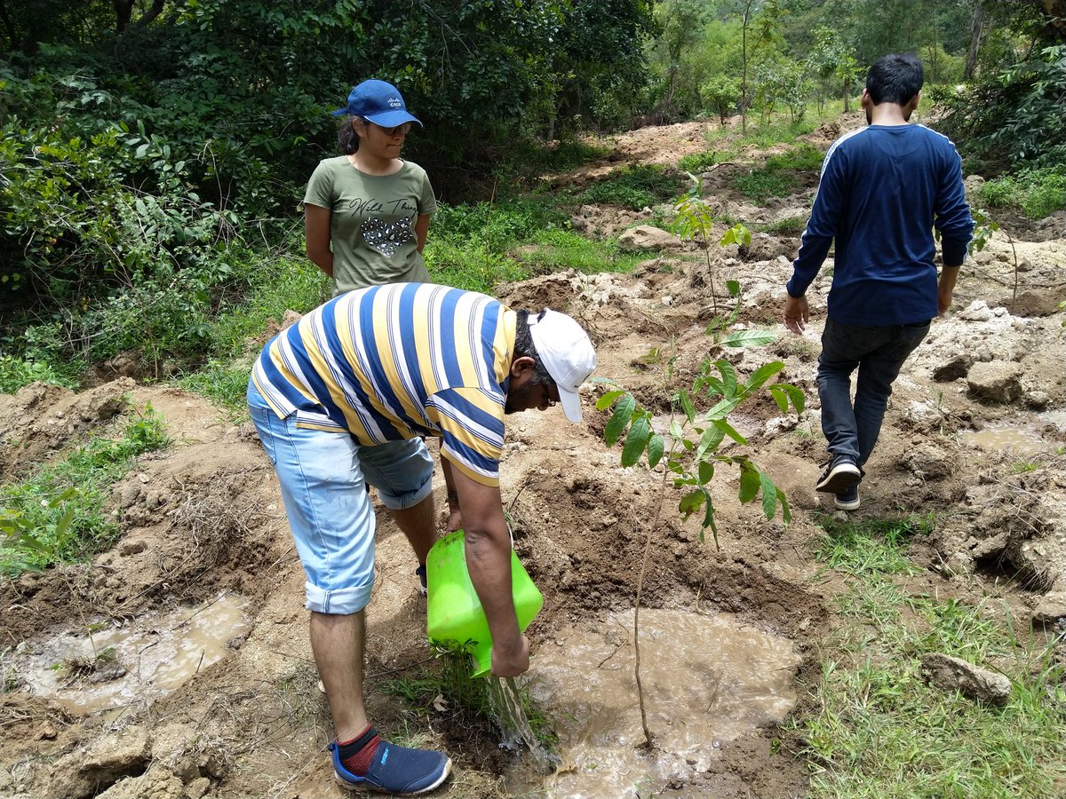 youth for seva on twitter planting a tree is simple youth for seva strives to contribute to a nature rich future sapling planting is an activity where corporate volunteers plant saplings as youth for seva on twitter planting a