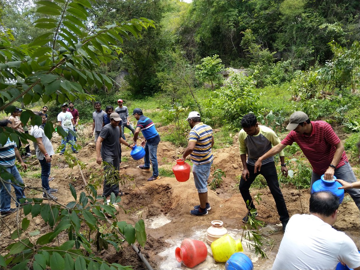 youth for seva on twitter planting a tree is simple youth for seva strives to contribute to a nature rich future sapling planting is an activity where corporate volunteers plant saplings as youth for seva on twitter planting a