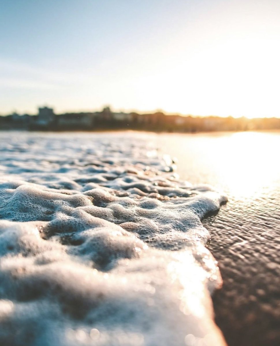 AquaBotanical tweet media