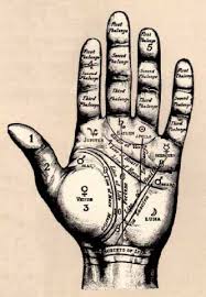 That old man peered at young Vimlananda and after a close inspection requested him to bring his horoscope.Vimlananda did, and after a thorough analysing, he asked him about his willingness to learn astrology, palmistry, and physiognomy.Young Vimlananda agreed.
