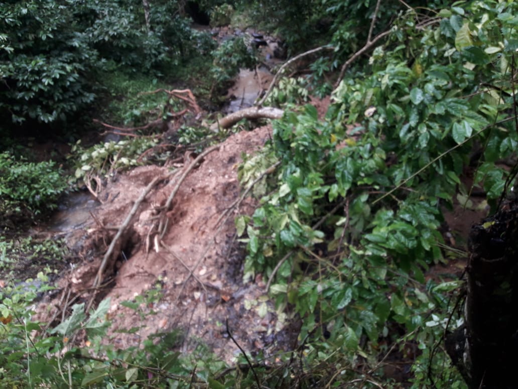 PlantersYuva's tweet photo. This is GURUDUTT s coffee estate, located in Kenjige, mudigere. Hope something from government @CimGOI @SrivatsaKrishna @PiyushGoyal @ShobhaBJP https://t.co/h2cOu1ybEo