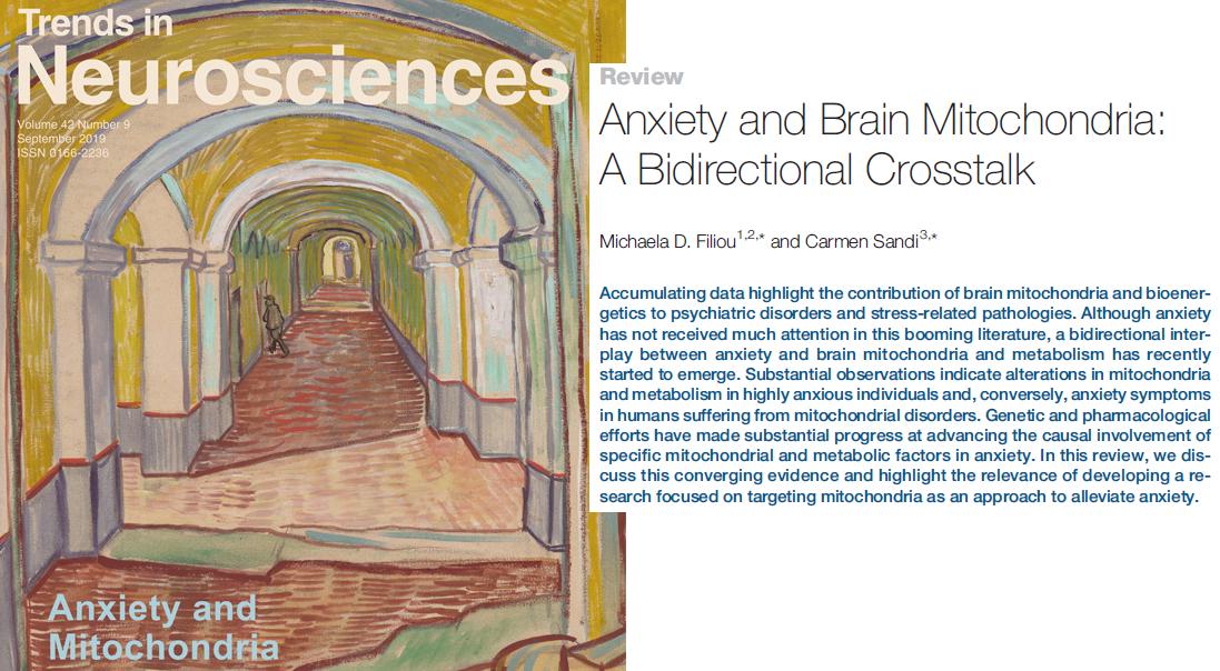 Carmen Sandi (@carmensandi10) on Twitter photo This collaborative review on "Anxiety & Mitochondria" with Michaela Filiou is now out in TINS
(cover: an anxiogenic painting by Van Gogh, who suffered high anxiety)
Free copy here: authors.elsevier.com/a/1Zdp7botpo1zr
<a href="/TrendsNeuro/">Trends in Neurosciences</a> <a href="/NSynapsy/">NCCR-Synapsy</a> <a href="/StressnetworkC/">StressNetwork.ch</a> <a href="/Brainmind_EPFL/">EPFL Brain Mind Institute</a> This collaborative review on "Anxiety & Mitochondria" with Michaela Filiou is now out in TINS
(cover: an anxiogenic painting by Van Gogh, who suffered high anxiety)
Free copy here: authors.elsevier.com/a/1Zdp7botpo1zr
<a href="/TrendsNeuro/">Trends in Neurosciences</a> <a href="/NSynapsy/">NCCR-Synapsy</a> <a href="/StressnetworkC/">StressNetwork.ch</a> <a href="/Brainmind_EPFL/">EPFL Brain Mind Institute</a>