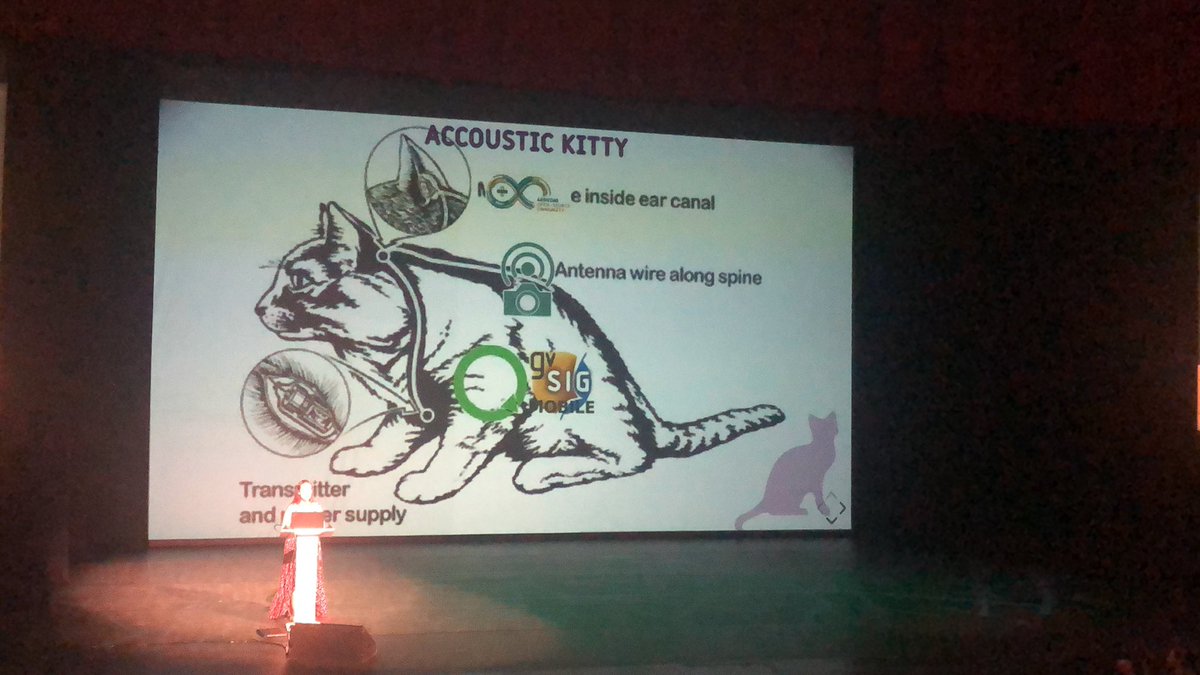 geodesigntech's tweet photo. @OmniSci adapting to new challenges @foss4g2019 Can open GPU geo software help manage the zombie kitten apocalypse? https://t.co/tRoyUuljtd