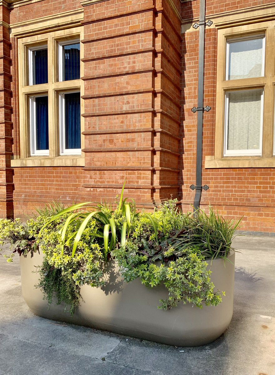 Europlanters's tweet photo. Our Buckingham Planter loving the beautiful sunshine at the weekend. #plants #GRPplanters #city #Brighteningupcities #greencities #largeplanters #architecture #landscape #designer #exteriorplanting https://t.co/rjlyt0eZMl