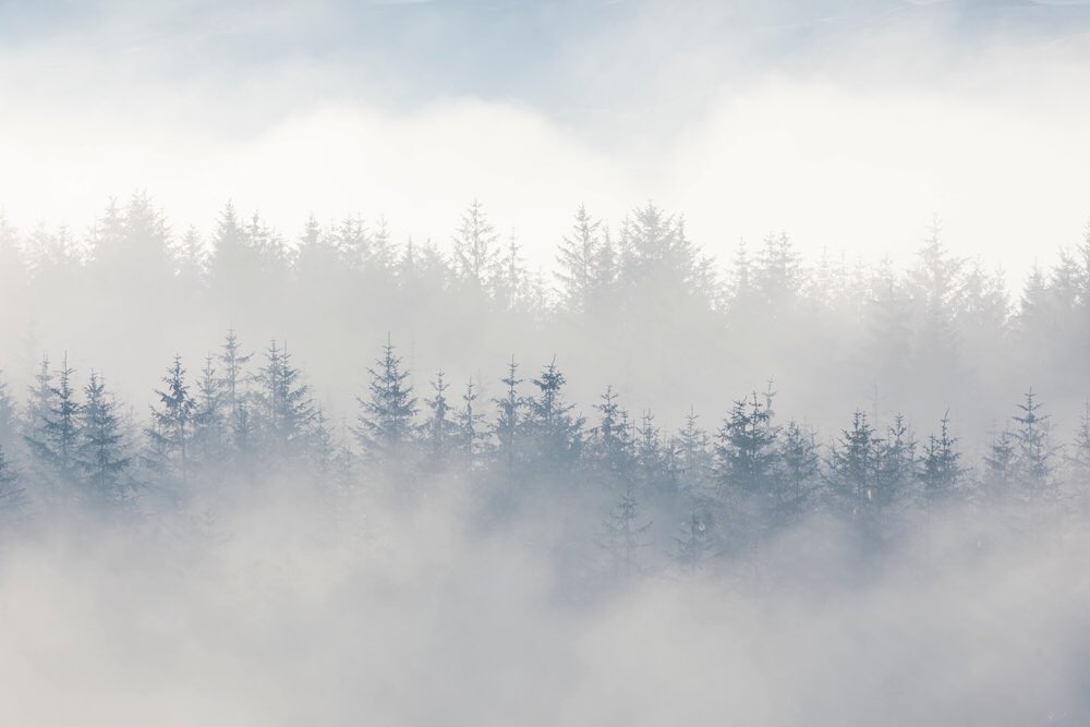 Beginning to look a touch autumnal over the weekend in the Cambrian Mountains #ceredigion #pumlumon <a href="/VisitCambMtns/">The Cambrian Mountains ❤️🏴󠁧󠁢󠁷󠁬󠁳󠁿⛰✨</a> <a href="/visitceredigion/">Discover Ceredigion</a> <a href="/visitwales/">Visit Wales 🏴󠁧󠁢󠁷󠁬󠁳󠁿</a> <a href="/StormHour/">#StormHour</a>