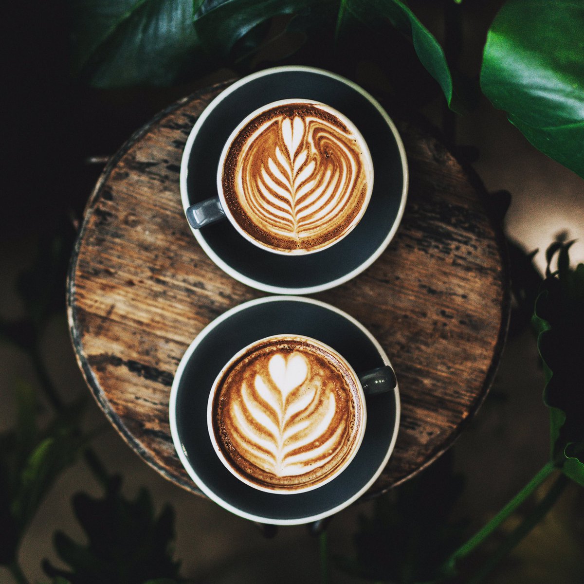 We heard that a morning coffee not only gets you ready for the day ahead...it also brings back blue skies

☕️ ☀️ ☕️