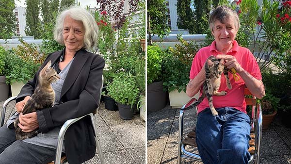 Depuis l’arrivée d’un #chaton au sein de l’une des petites unités de vie des <a href="/PFPauvres/">Petits Frères des Pauvres</a> destinée aux personnes âgées en perte d’autonomie, nos aînés sont comme transformés !
petitsfreresdespauvres.fr/informer/nos-a…