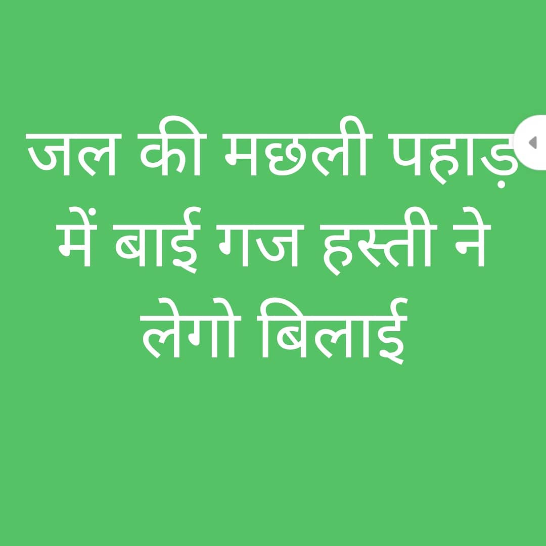 VSTexoticBirds1's tweet photo. इस पहेली का अर्थ सम��ाएं https://t.co/lEZ3OgjoHj