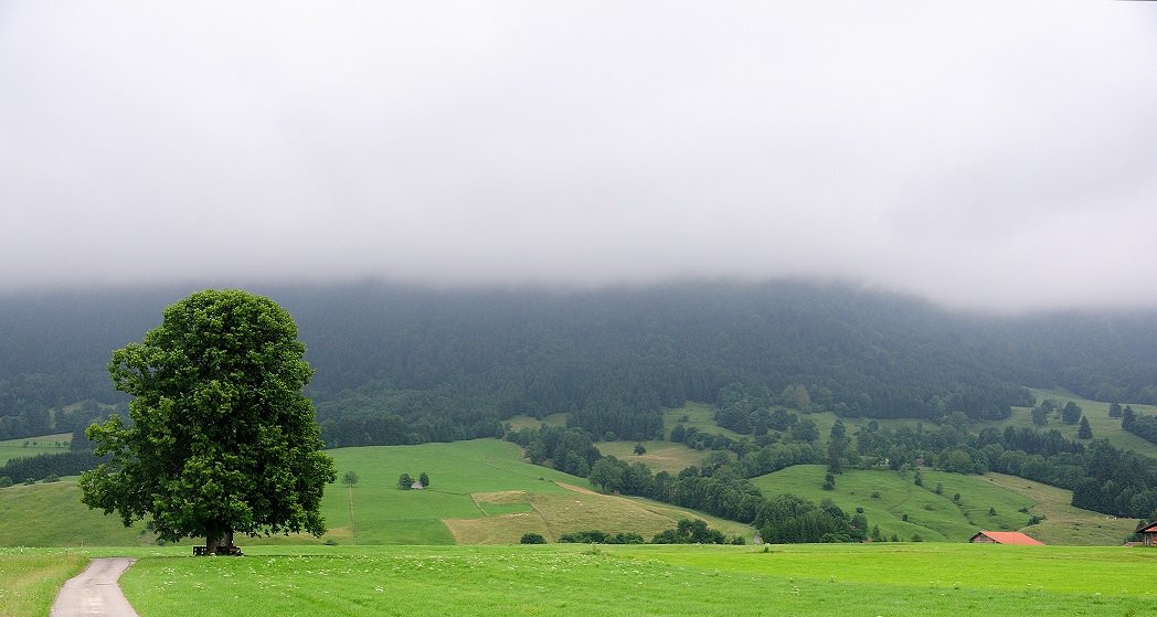 Still not as warm today as it has been in other parts of the UK with some showers across Devon expected later #HeartNews