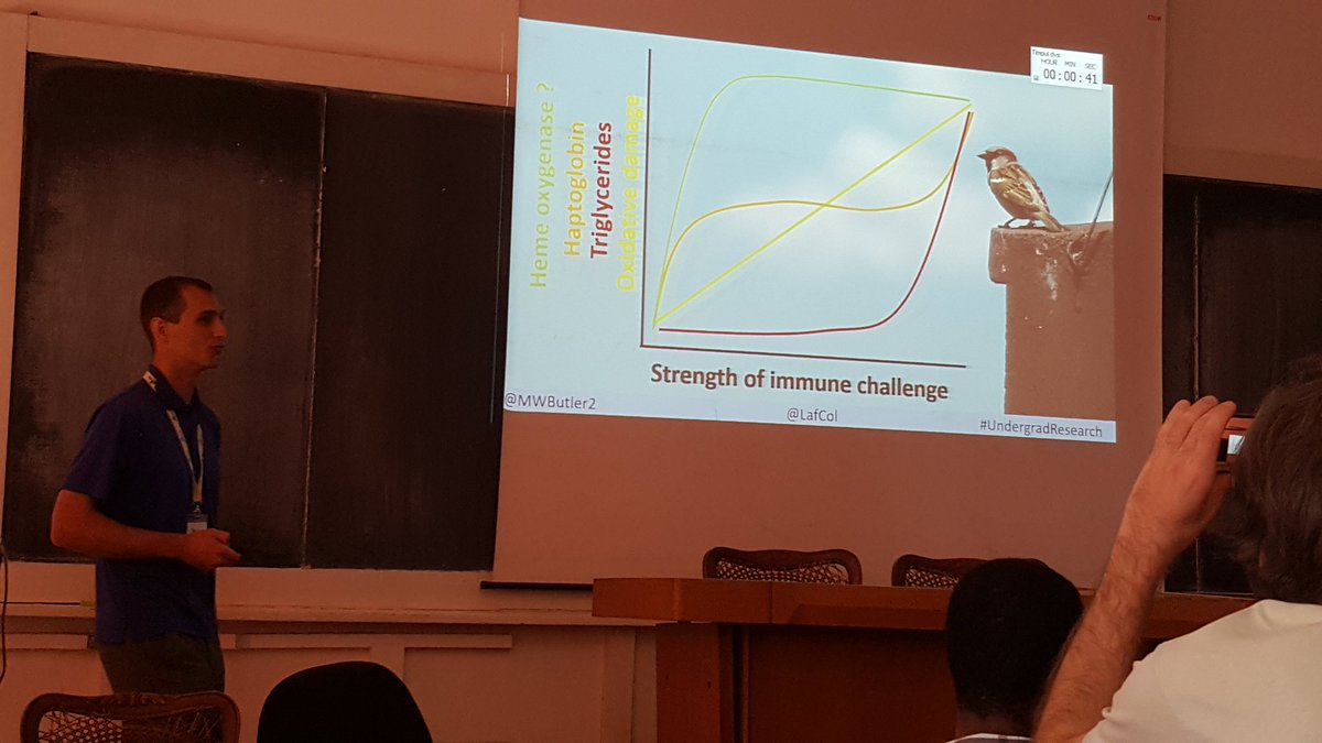ColominasCiuro's tweet image. Nice talk of @MWButler2 on the strength of the immune response in birds. Different physiological markers show different responses after an immune challenge
@EOU2019Cluj