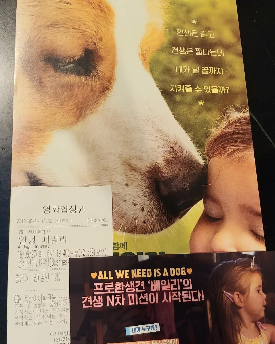 #안녕베일리 사랑스러운 반려견들 이야기로 감동과 많은 웃음, 약간의 눈물이 있는 힐링 드라마. #조시게드 의 익살맞은 베일리 목소리에 개들의...