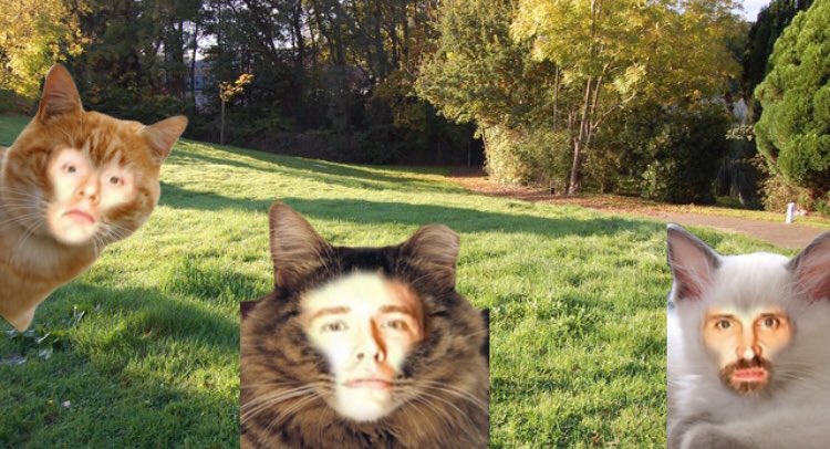 jamesaCATster's tweet photo. Happy @OffMenuOfficial and cat Wednesday James! @JamesAcaster @EdGambleComedy @THE_SLPofficial https://t.co/0Iw2FogkSs