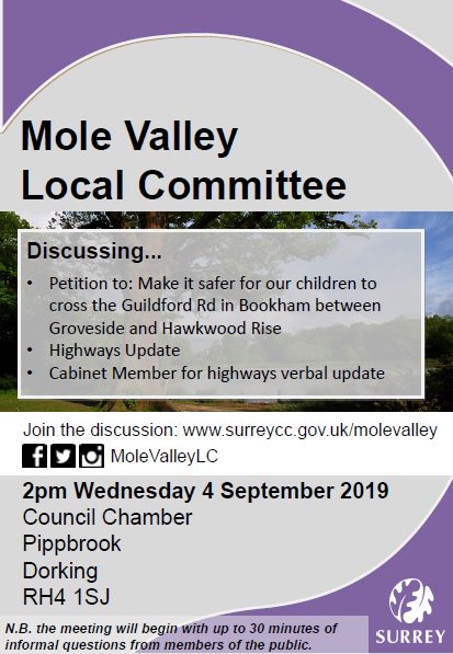 MoleValleyLC's tweet photo. Come along to Mole Valley's upcoming Local Committee on Wednesday 4 September - 2pm. Discussion points: Petition to make it safer for children to cross the Guildford Rd in Bookham between Groveside and Hawkwood Rise, Highways Update and Cabinet Member for highways verbal update. https://t.co/Op3s6XmHeL