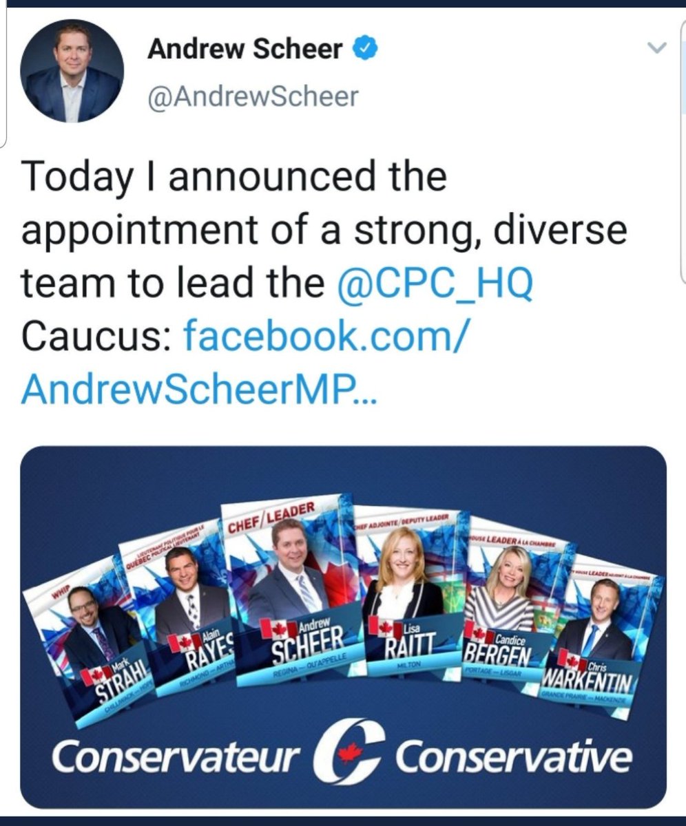 kristen_lindop's tweet photo. I love that I was was called a racist today because I referred to #Scheers new 'Diversity' group as a bunch of white upper class twits! #AnybodyButScheer https://t.co/GweT9wBZPJ