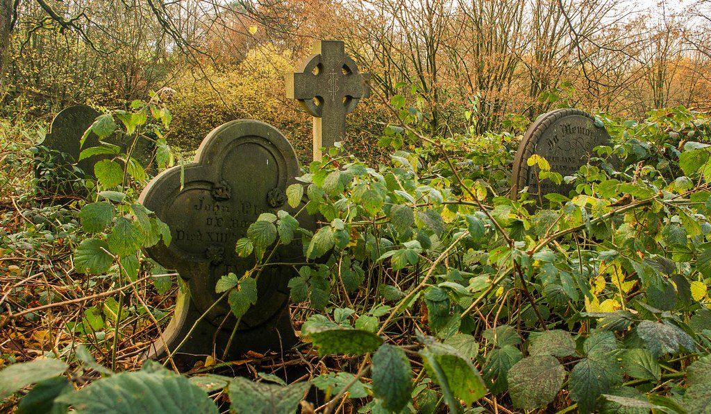 oldweirdbritain's tweet photo. Bramble bushes were once deliberately planted on graves to keep the dead from walking.

#folklore #blackberry https://t.co/KtcdozuqMJ