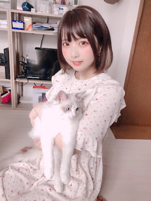 コスプレイヤーとみこのTwitter画像12