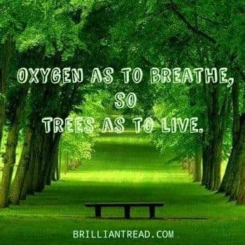 KCShreya1's tweet photo. If it's not Now, then it's never.
If it's not us then Who? 
Speaing  for our trees is to 
Speak for one's life!
#RethinkRingRoad @MofaNepal @MaheshwarDhaka1 @BasnetShakti1 @Withthewild1 @thehimalayan @kantipurdaily https://t.co/juL9Bbwtoa