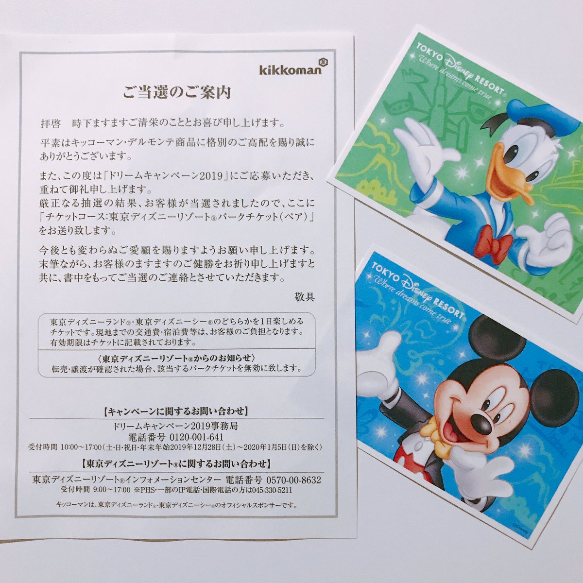 Hd限定ディズニー シー チケット ホテル ディズニー画像のすべて