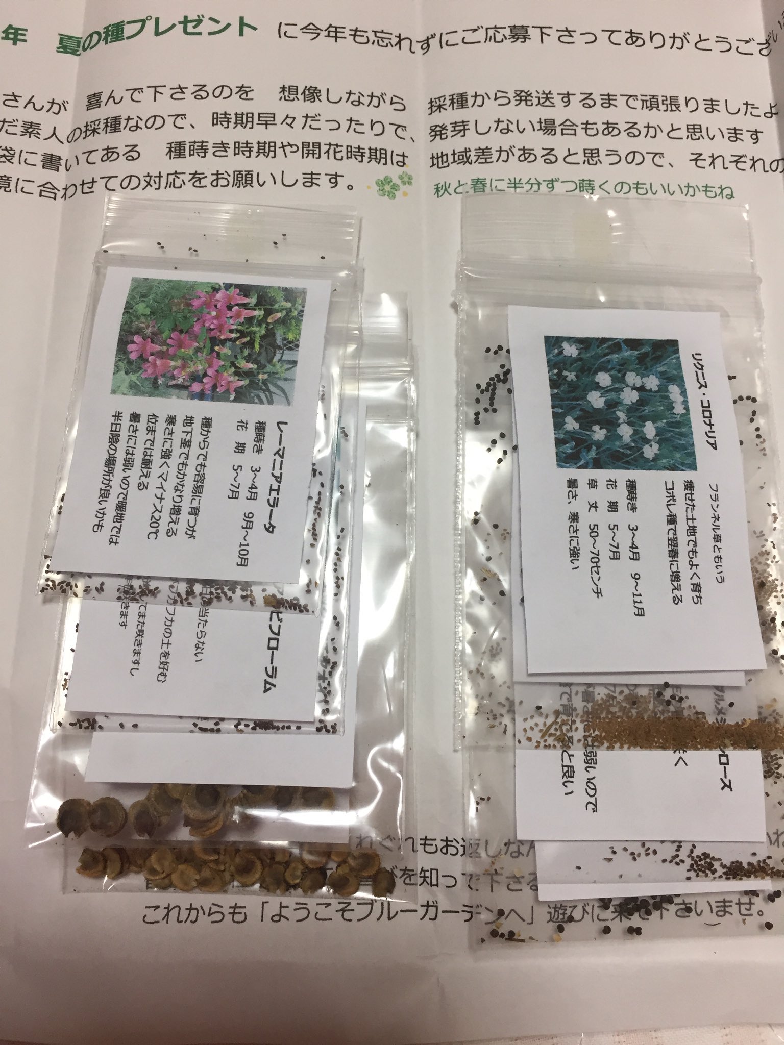 みろり ガーデニングブログ ようこそブルーガーデン 種プレゼントに応募したら今日届いて感激 個人宅でこんな丁寧にパッケージしてあって凄い 福岡のブロガーさん 昨日からの豪雨大丈夫だったかしら