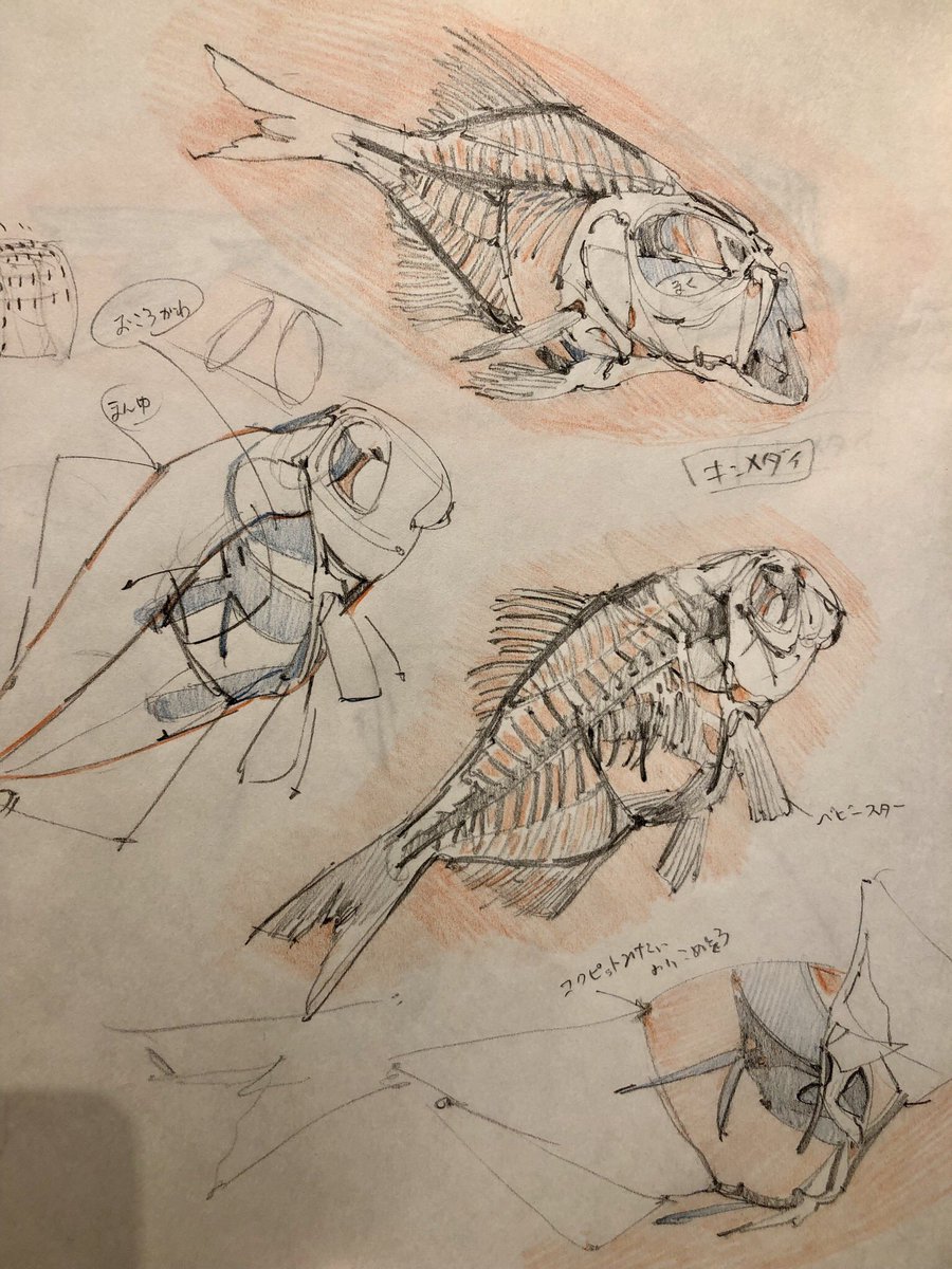 【おススメスケッチエリア③】
骨を描きたいならインターメディアテクがおすすめ!人、哺乳類、魚類、鳥類、などいろいろな骨が展示されていて入館料はタダ!他にも動物の剥製がすこしと、鉱物や貝殻、土偶などコレクター欲をくすぐる展示品ばかりで楽しめます。
#下田スケッチ会