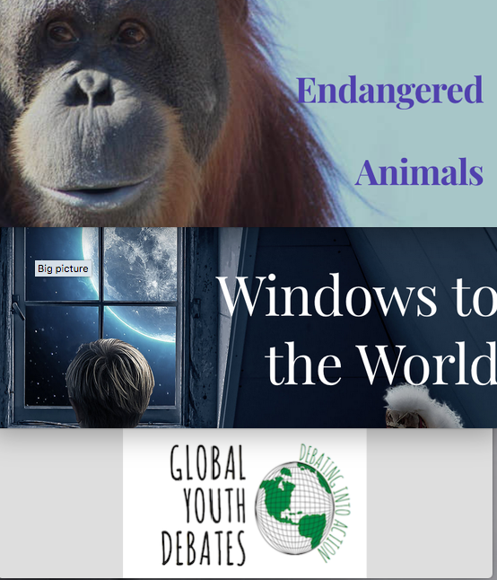 Global Youth Debates tweet media