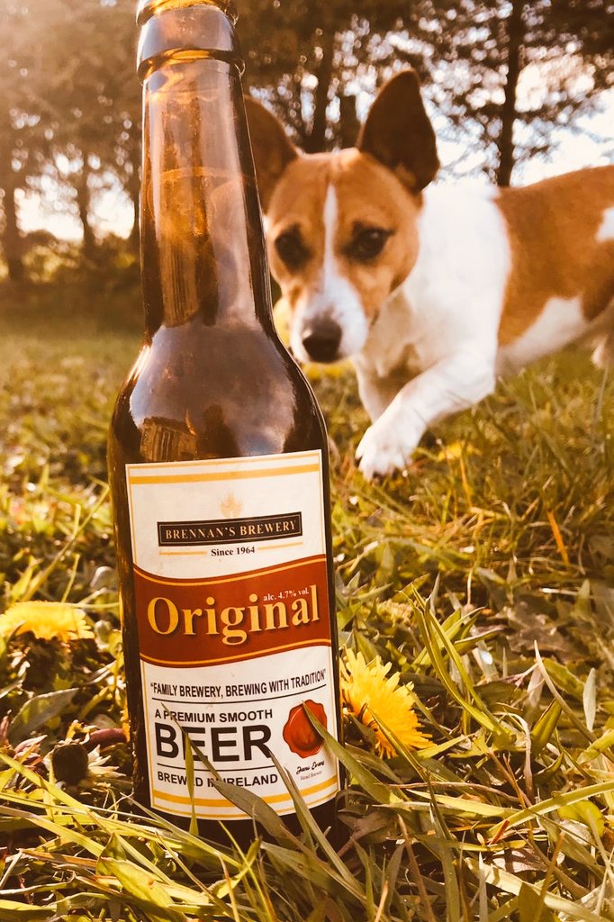 BrennansBrewery's tweet photo. In Dublin City Centre Today if any bars would like me to drop in some samples, RT #KeepingitSmooth https://t.co/R1kCsNOOcC