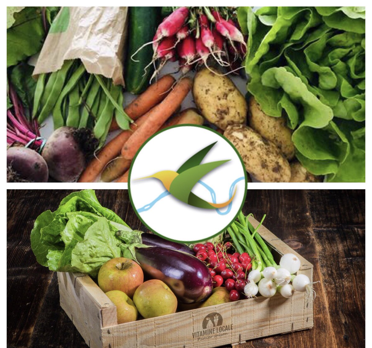 C’est aujourd’hui que nous recevons notre premier panier #AMAP #lesecolibrisRG #villedeverneuil et allons rencontrer notre agricultrice Camille