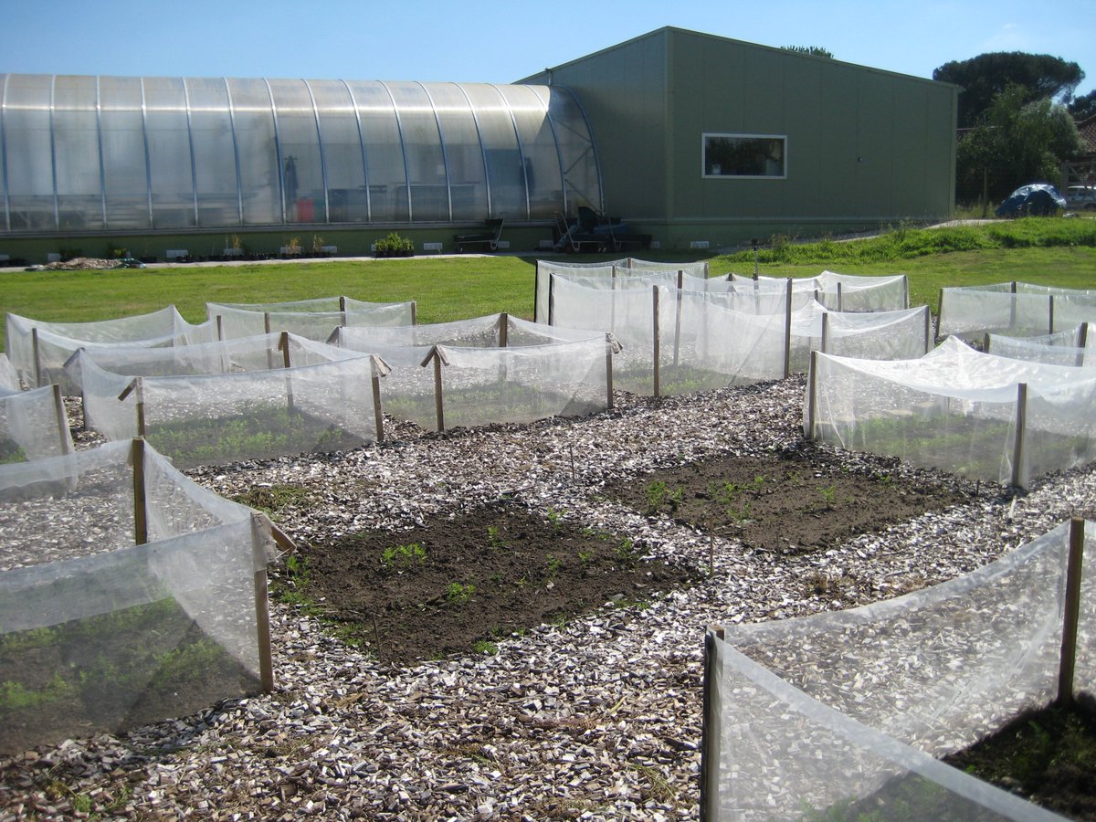 Starting PhD on unrelated topic just before last harvest of this field experiment meant that it has been a long road &amp; felt like a bit of a struggle BUT our paper on using fences to stop #carrotfly is finally out <a href="/Symphlythebest/">Stephanie Bird</a> <a href="/Warwickpestnews/">Rosemary Collier</a> <a href="/The_RHS/">The RHS</a>  tinyurl.com/y5gu6q2g