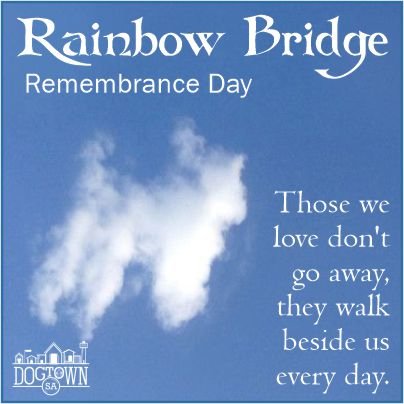 Dogtown_SA's tweet photo. Today is Rainbow Bridge Remembrance Day.  Those we love don't go away, they walk beside us every day.
Share your favorite memories of your departed furkids in the comments.
#DogtownSA  #RainbowBridge  #PlayInPeace https://t.co/NiUtAuFHwk