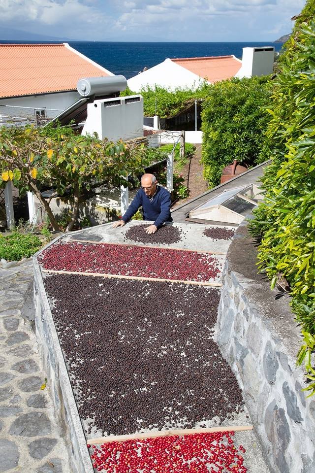 JorgeCarmo9's tweet image. #Azores #Portugal #Tea #Coffee #Foodies ☀️☕️😋 NY Times: In the Azores, the Menu Includes Coffee, Tea and Tradition. There’s #wine and #cheese too, in these remote islands in the Atlantic Ocean. Here’s where to get a taste of the past — and present: nyti.ms/2ofGd2f