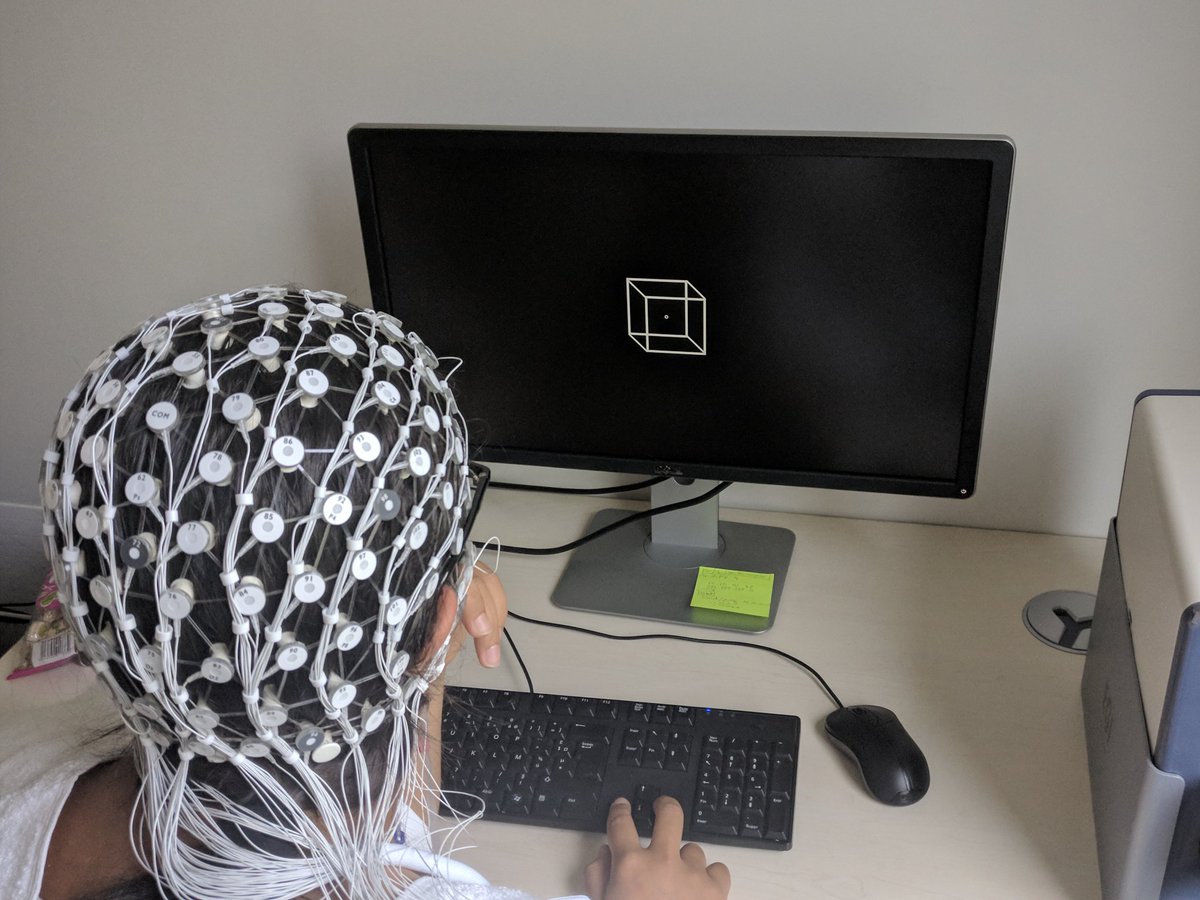 MHASC1's tweet photo. Testing our new #PhilipsNeuro #EGI 128 ch. EEG system with a Necker cube xp. Can't wait to see the results! @CureLille @PLeptourgos #perception #bistability #CircularInference https://t.co/gTpYkDAYXV