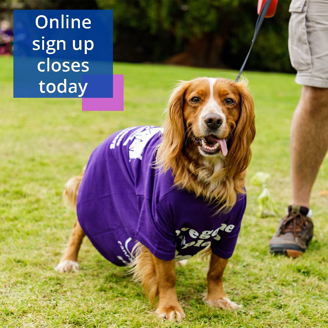 ClanNow's tweet photo. Online sign up for the CLAN Walk 2019 closes today! To register, please visit: https://t.co/Z7319Mr2Wi
#cancer #cancersupport #clanwalk #thinkcancerthinkclan #aberdeen #visitabdn https://t.co/BW1Q55lVuy