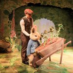 Photo by PeterRabbitLive (@PeterRabbitLive)
