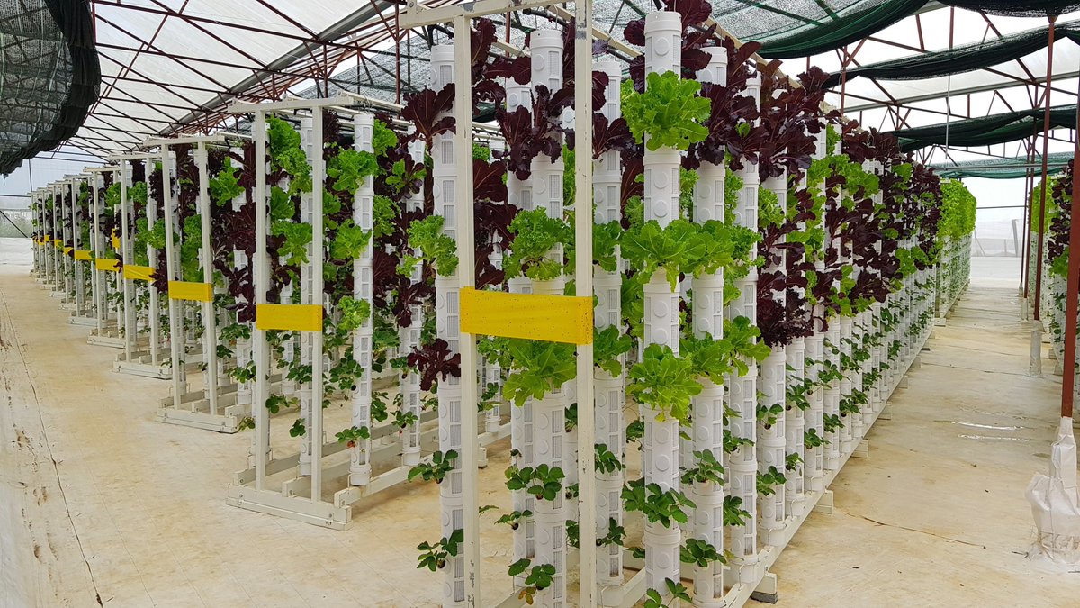 Orlarvn's tweet photo. Orlar Farm https://t.co/ljx6TysstK