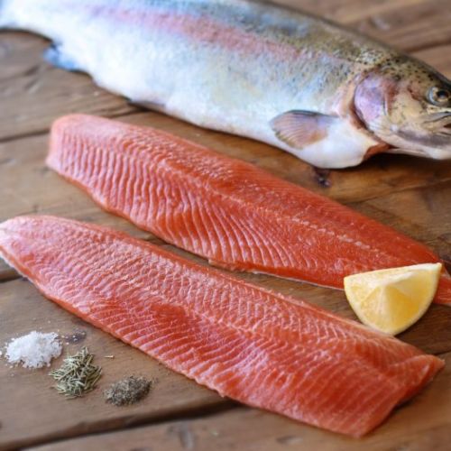 PennDutchFL's tweet photo. Today!   Steal this Steelhead! - https://t.co/b4TC2g3I8H https://t.co/gV5ezFakZK